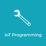 IoT Programming